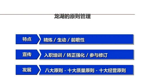龍湖企業管理與運營精細化管理